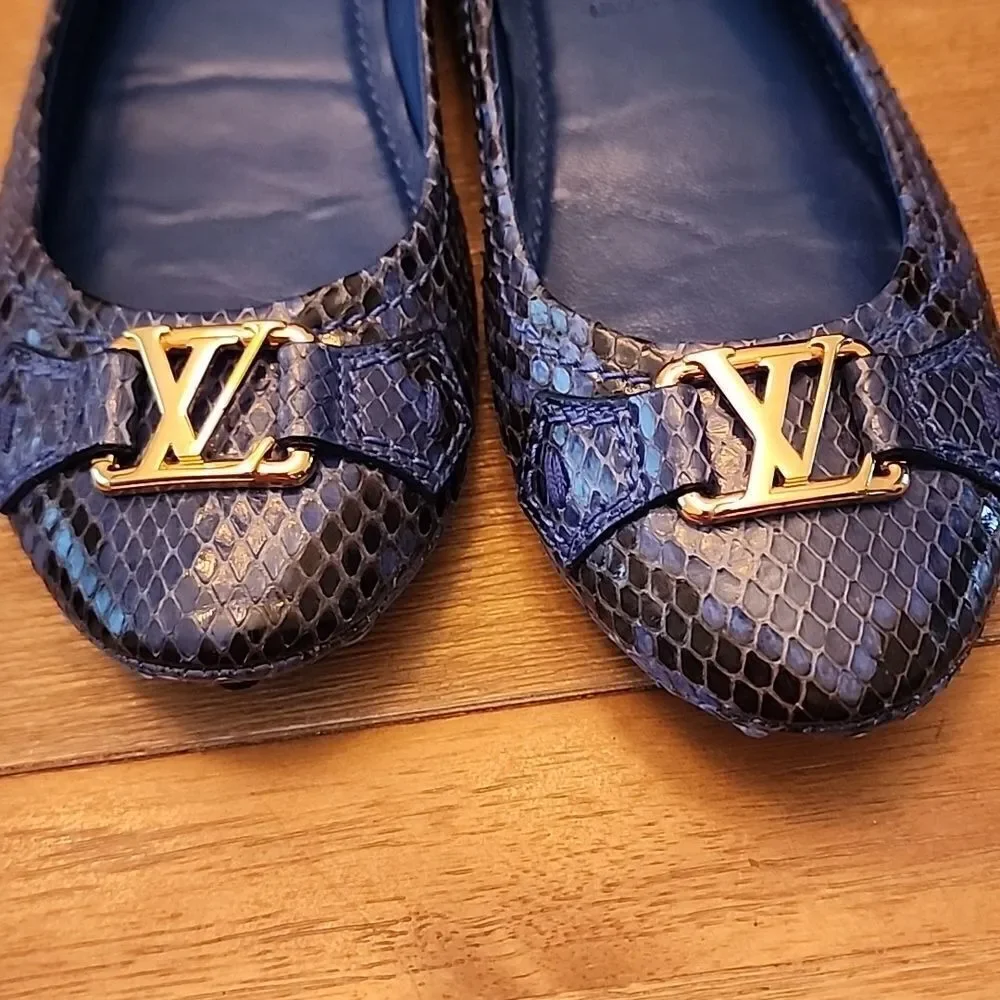 Louis Vuitton authentic louis
